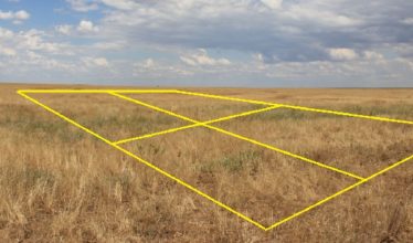 Изъятие неиспользуемых сельхозземель в Новосибирской области планируют упростить