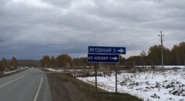 Земельный участок 0,53 Га Новокаменка Станционный сельсовет