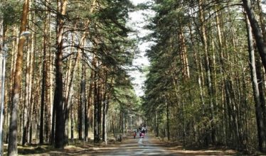 Предотвращен самовольный захват земель в Новосибирске