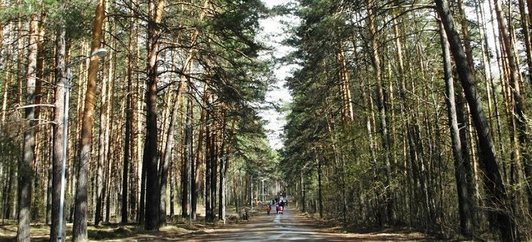 Предотвращен самовольный захват земель в Новосибирске