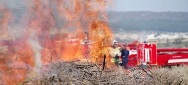Изменения в правилах противопожарного режима для владельцев земельных участков