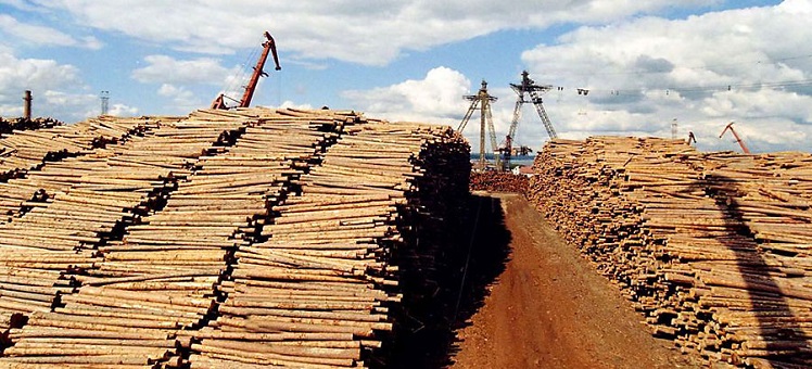 Лесопромышленный комплекс по глубокой переработке древесины на территории Кыштовского и Северного районов НСО компании «Сибирский ЛПК»