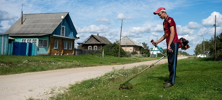 Минэкономразвития предложило механизм изъятия участков за нарушение правил пожарной безопасности нескошенную траву и мусор