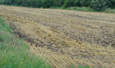 Правительство определило признаки неиспользуемых сельхозземель