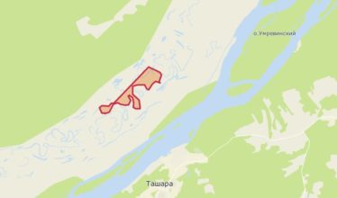 Земельный участок 507,22 Га Колыванский район Новотроицкий сельсовет НСО