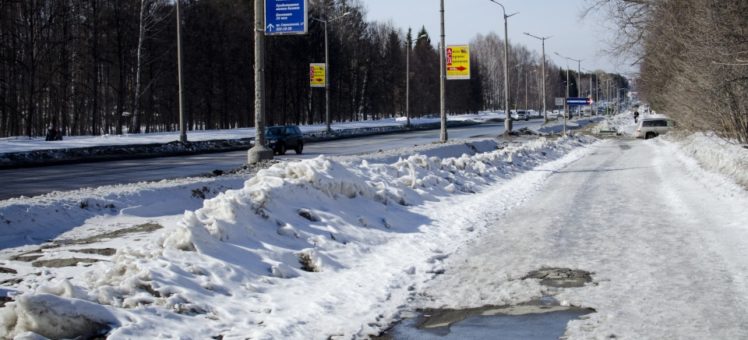 Администрация Советского района Новосибирска забрала 155 земельных участков у СО РАН