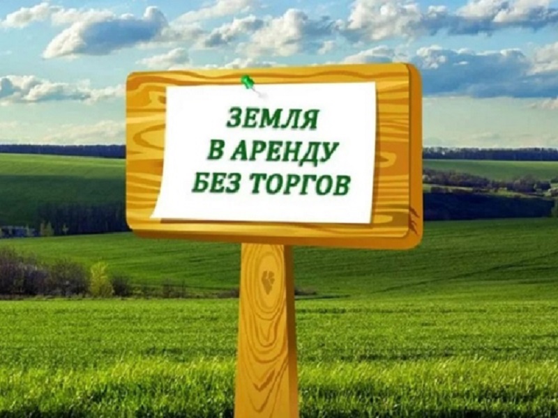 Оформим без проведения торгов земельные участки в муниципальной собственности в Новосибирске МИП масштабный инвестиционные проект инвестсовет