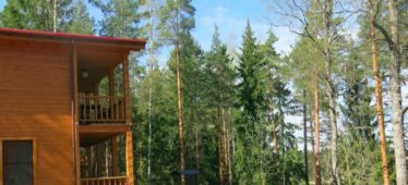 Правительство РФ разрешило строить гостиницы и апарт-отели на землях лесного фонда