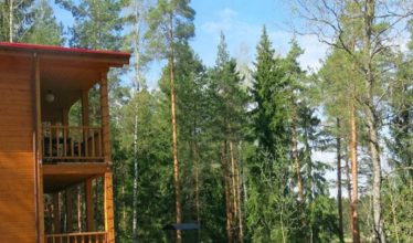 Правительство РФ разрешило строить гостиницы и апарт-отели на землях лесного фонда