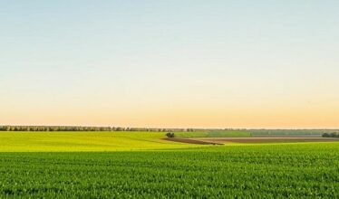 Как купить земельный участок - основные шаги и рекомендации