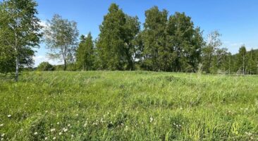 Земельный участок 16,44 Га ул. Кедровая д. Мостовая Раздольненский сельсовет Новосибирский район