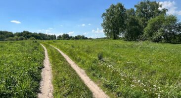 Земельный участок 16,44 Га ул. Кедровая д. Мостовая Раздольненский сельсовет Новосибирский район