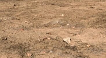 Земельный участок 0,22 Га ул. Проточная Ленинский район