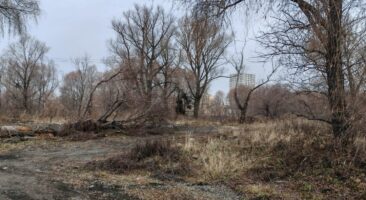 Земельный участок 5,32 Га ул. Большевистская Октябрьский район