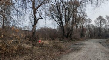 Земельный участок 5,32 Га ул. Большевистская Октябрьский район