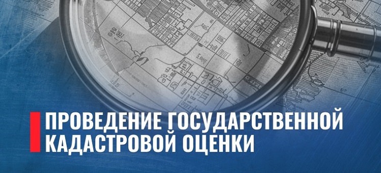 Кадастровую оценку будут проводить чаще - Росреестр готовит важные изменения