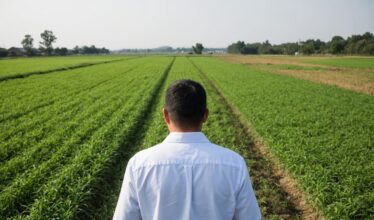 Как перевести земельный участок из сельхозназначения в другую категорию - пошаговая инструкция