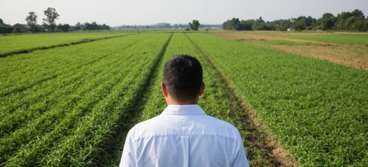 Как перевести земельный участок из сельхозназначения в другую категорию - пошаговая инструкция